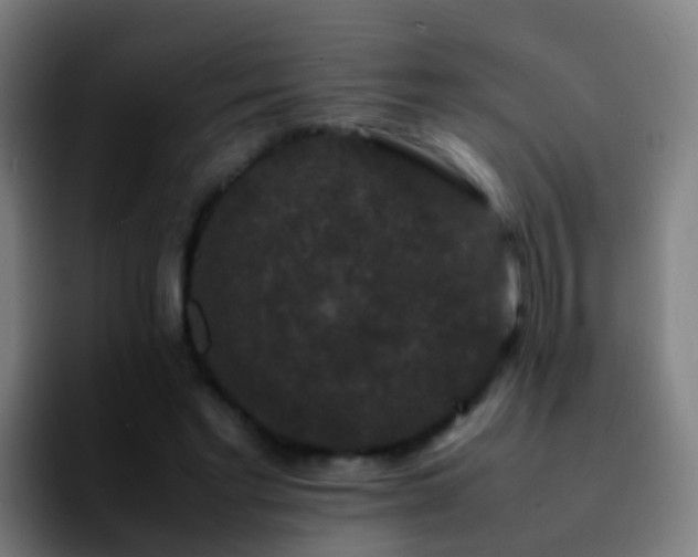 X0000092250493200709211104