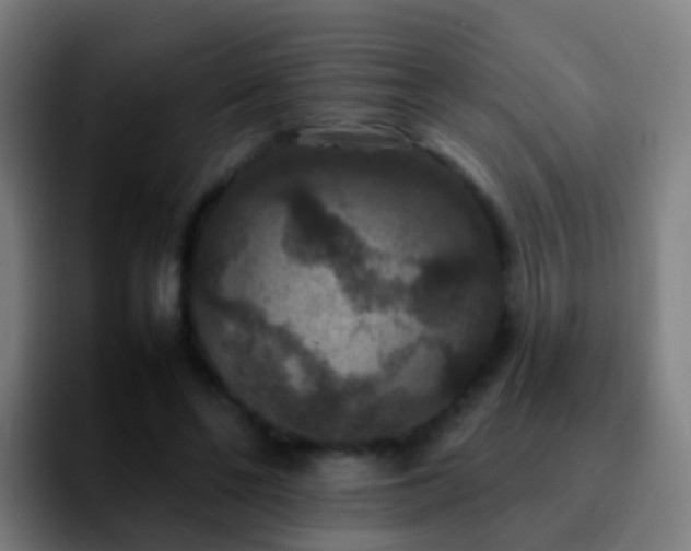 X0000092250494200709211104