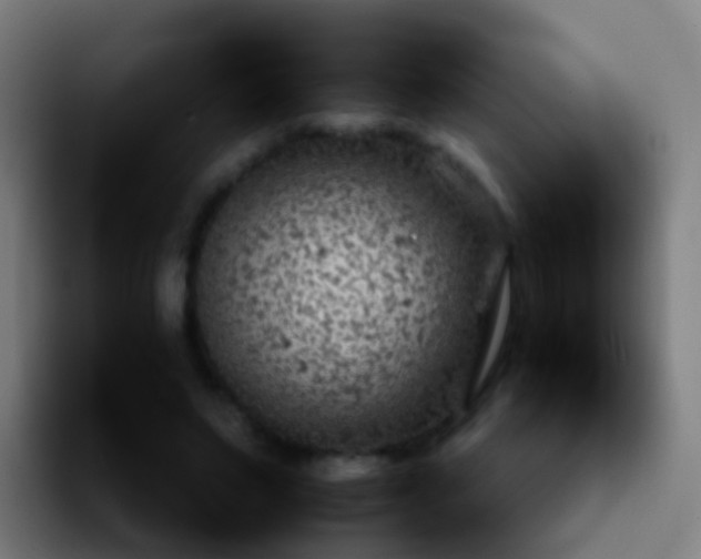 X0000092250495200709211104