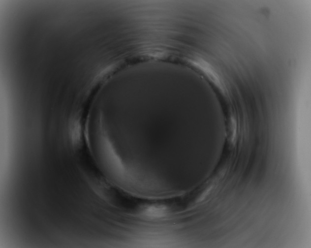 X0000092250500200709211104