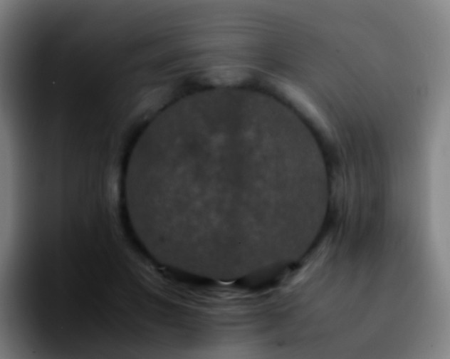 X0000092250501200709211104