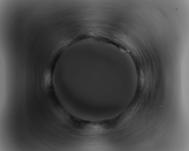 X0000092250502200709211104