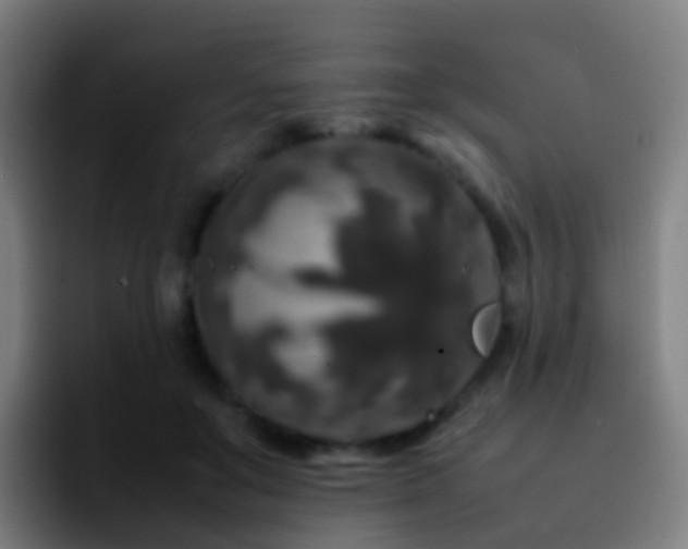 X0000092250503200709211104