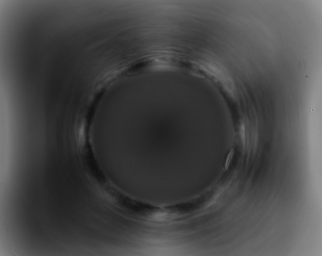 X0000092250504200709211104