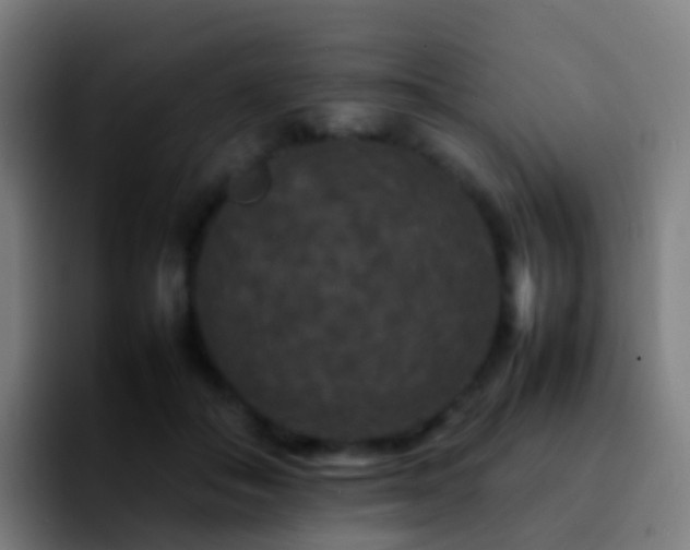 X0000092250506200709211104