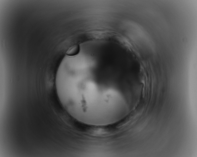 X0000092250507200709211104