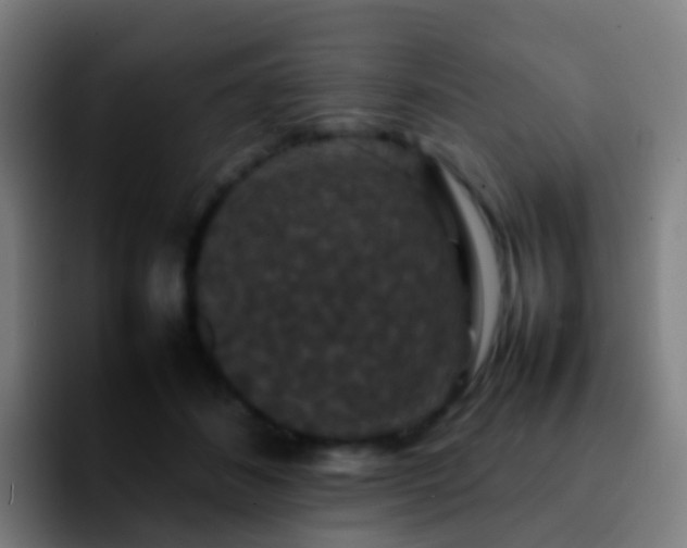 X0000092250508200709211104