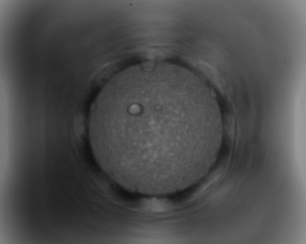 X0000092250511200709211104