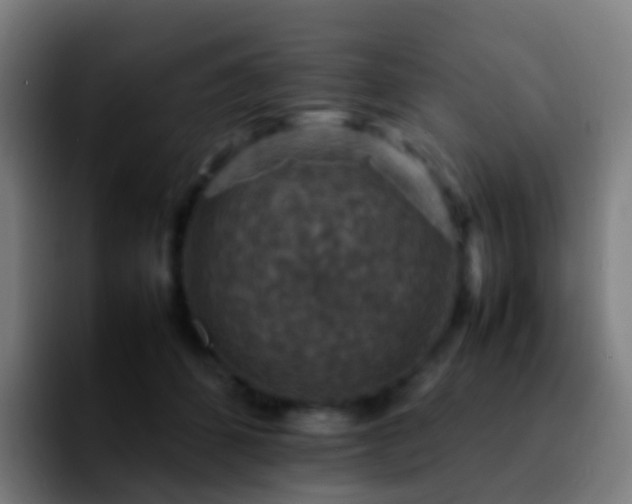 X0000092250512200709211104