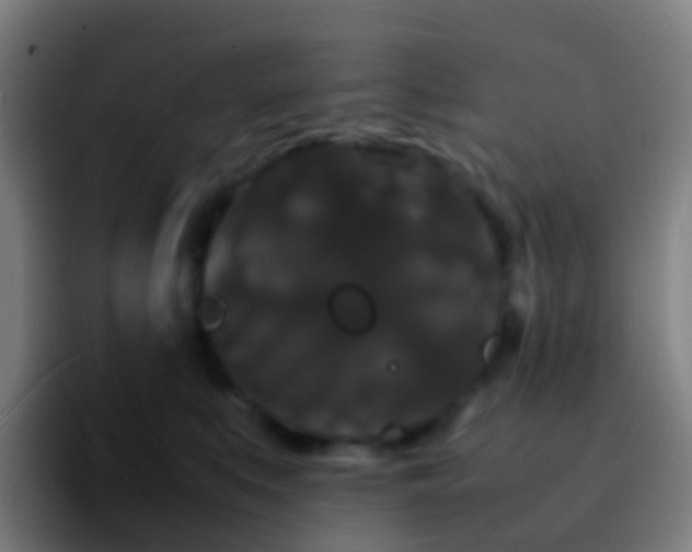 X0000092250519200709211103