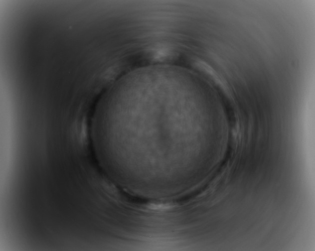 X0000092250520200709211103