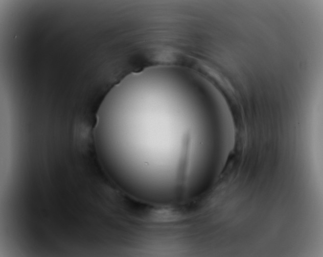 X0000092250521200709211103