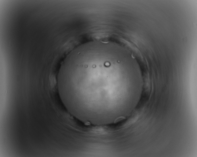 X0000092250523200709211103