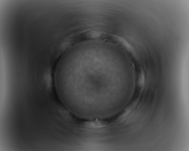 X0000092250524200709211103