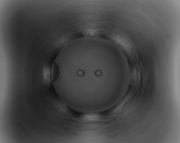 X0000092250526200709211103