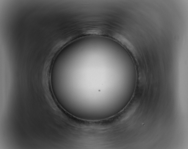 X0000092250529200709211103