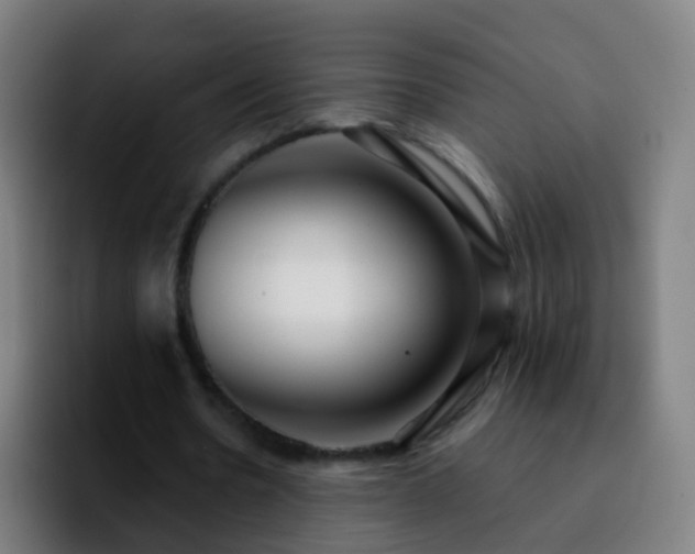 X0000092250530200709211103