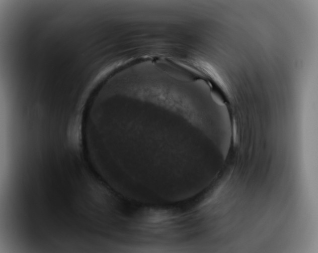 X0000092250531200709211103