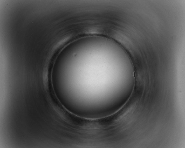 X0000092250535200709211103