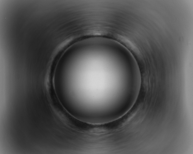 X0000092250536200709211103