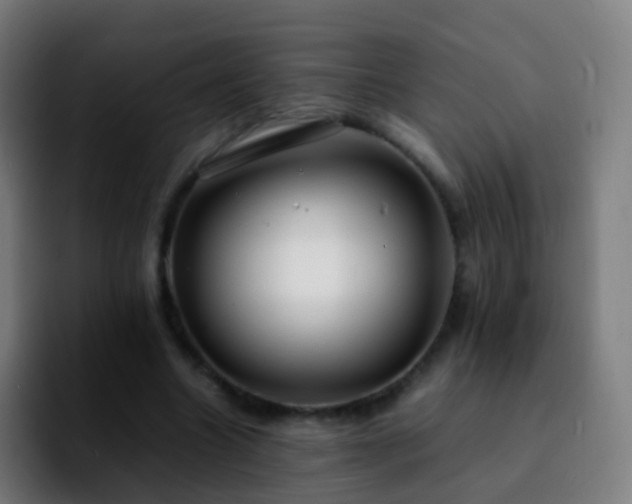 X0000092250538200709211103