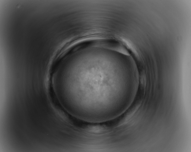 X0000092250540200709211103