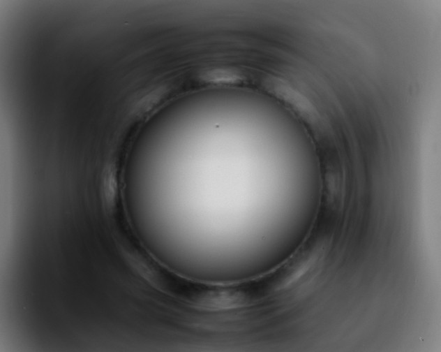 X0000092250541200709211103