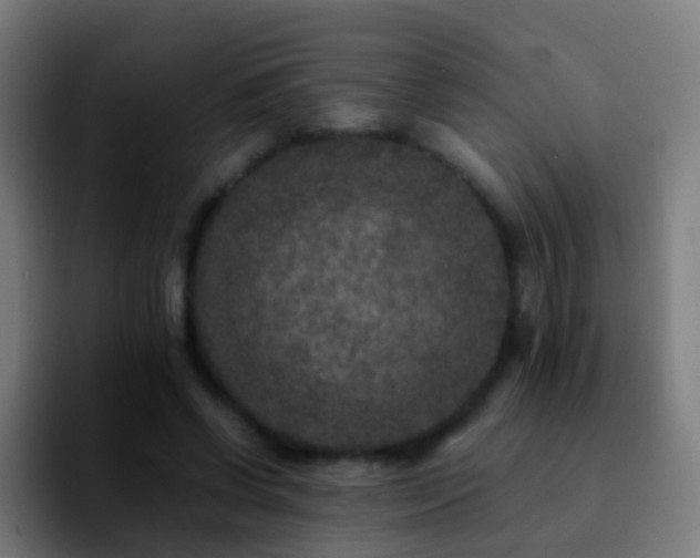 X0000092250542200709211103