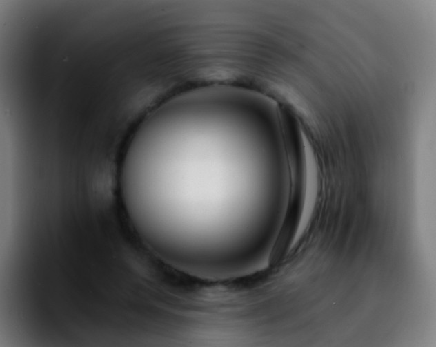 X0000092250544200709211103