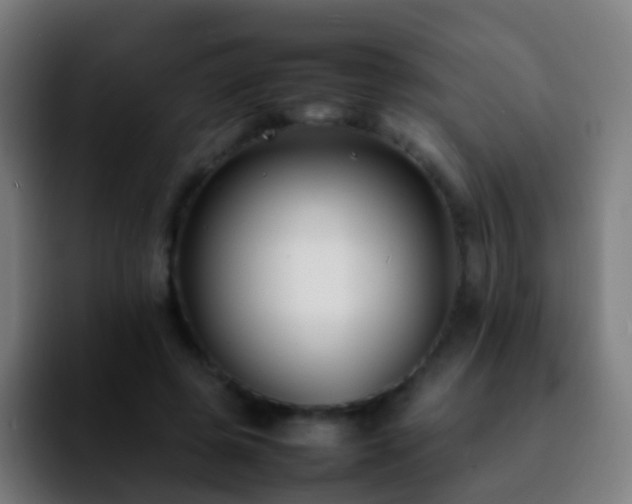 X0000092250545200709211103