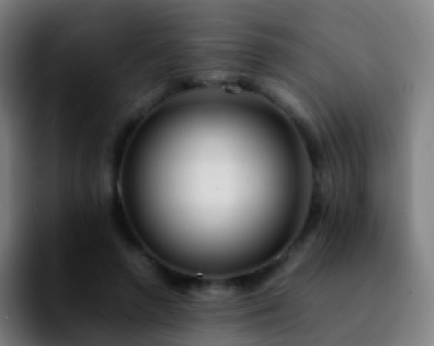 X0000092250546200709211103