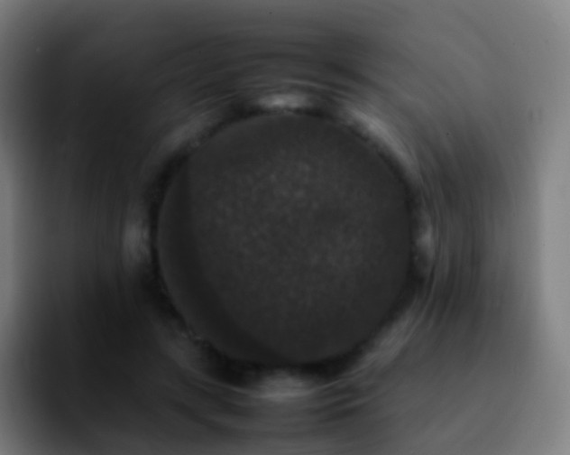 X0000092250547200709211103