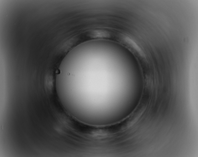 X0000092250549200709211103