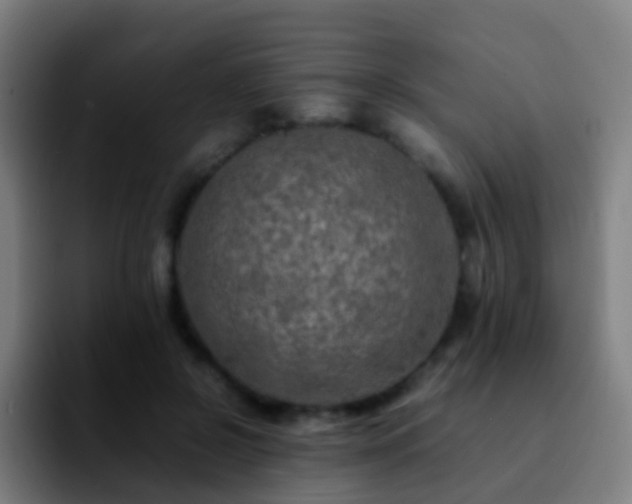 X0000092250550200709211103