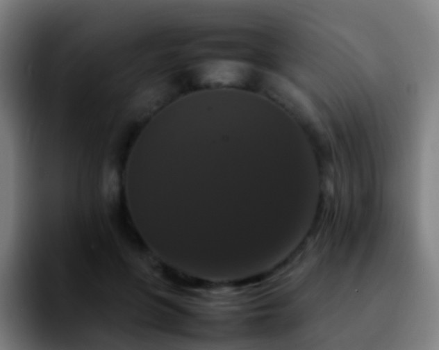 X0000092250551200709211103