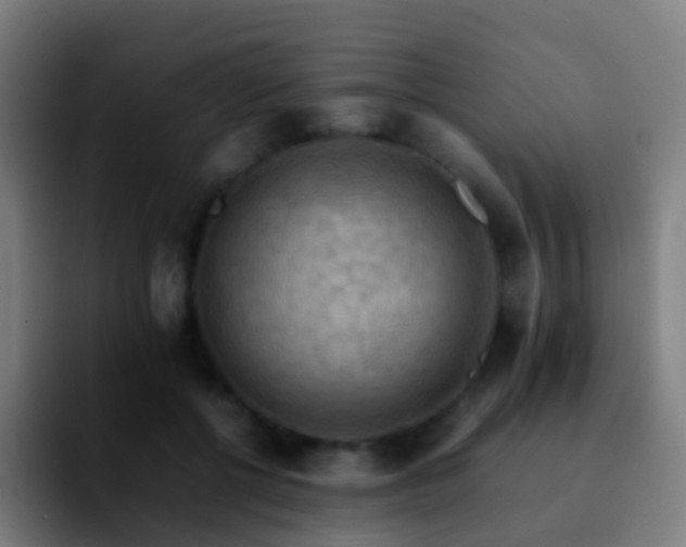 X0000092250552200709211103