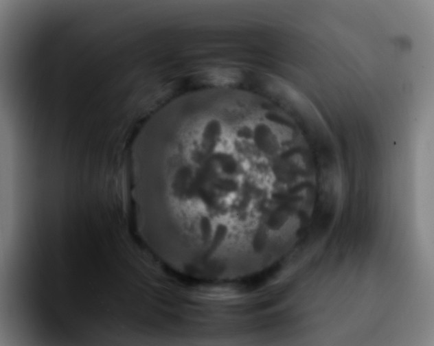 X0000092250553200709211103