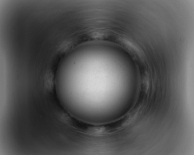 X0000092250554200709211103