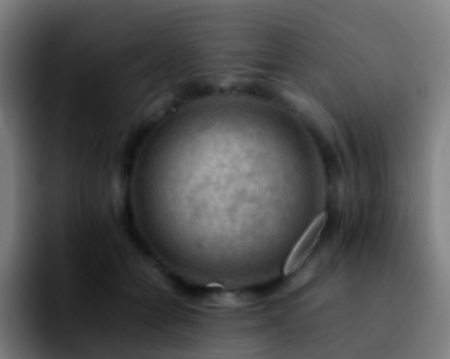 X0000092250558200709211103