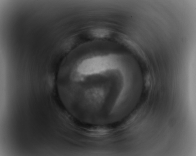 X0000092250559200709211103