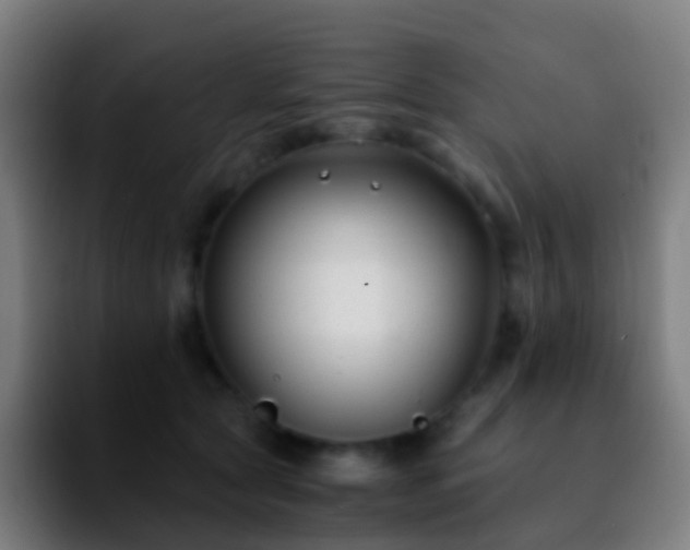 X0000092250561200709211103