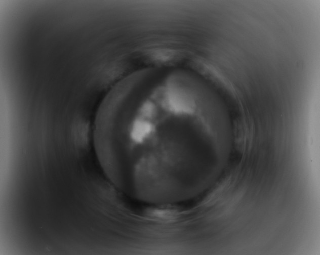 X0000092250563200709211103