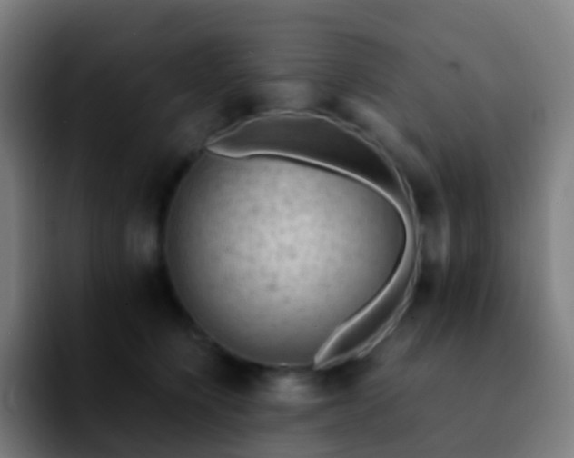 X0000092250564200709211103