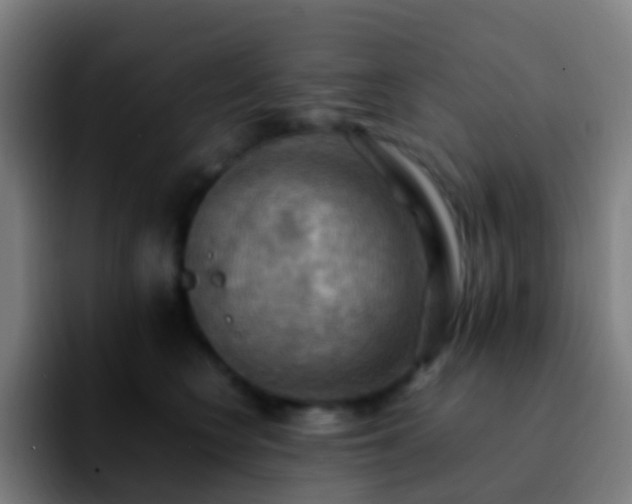 X0000092250566200709211103