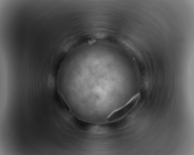 X0000092250568200709211103