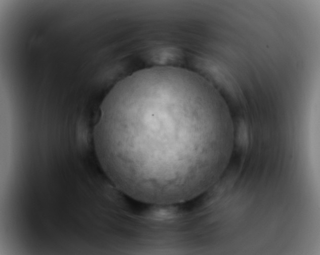 X0000092250569200709211103