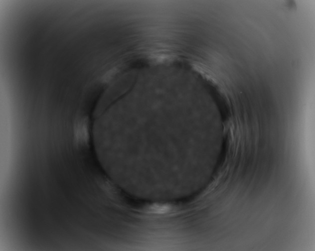 X0000092250570200709211103