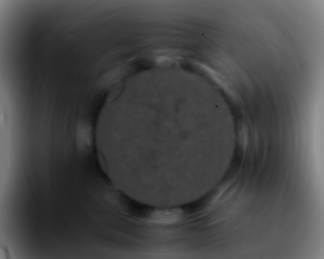 X0000092250571200709211103