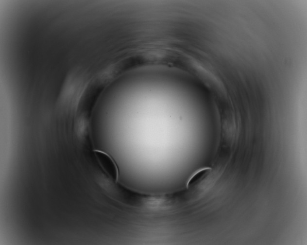 X0000092250574200709211103