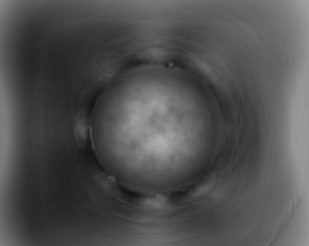 X0000092250576200709211103